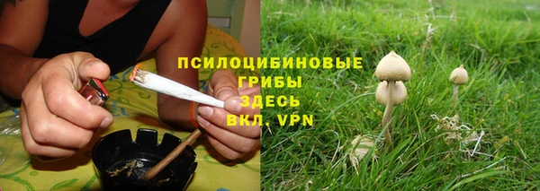 дурь Абинск