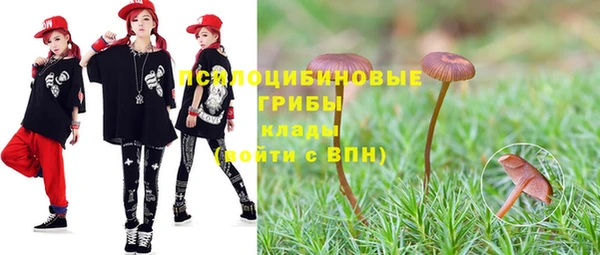 spice Абаза