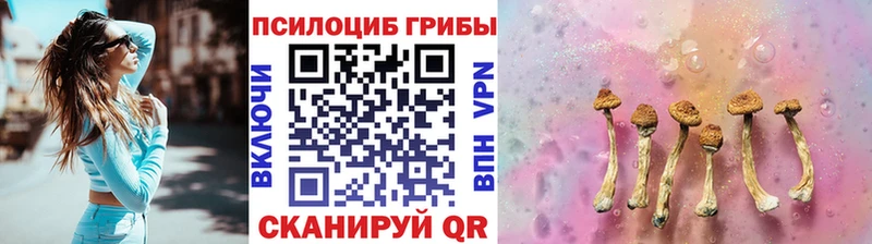 Галлюциногенные грибы мицелий  Талдом 